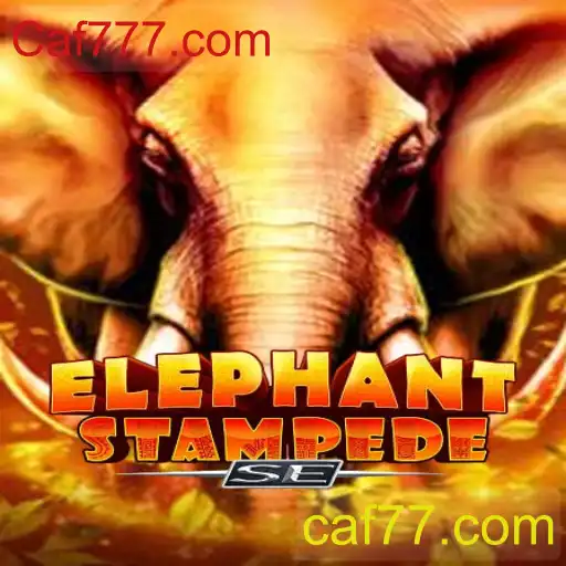 Descubra o Fascinante Mundo de ElephantStampedeSE e as Emoções de Caf777.com