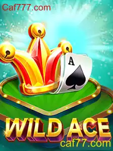Explorando o Fascinante Mundo de WildAce: Um Guia Completo