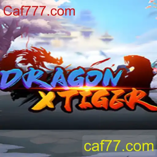 Explorando o Mundo do Jogo de Cartas DragonXTiger
