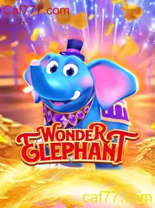 WonderElephant: Explorando o Jogo Inovador e Suas Regras